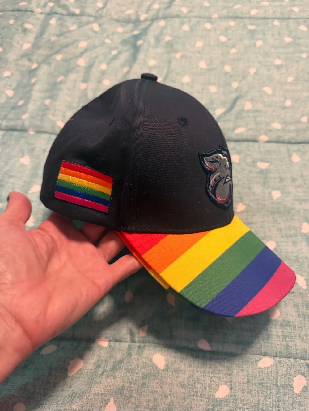 Adult Iron Pigs Rainbow Stripe Brim Baseball Cap. MUST BE BUNDLED